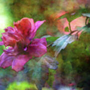 Rose Of Sharon On The Branch 4066 Idp_2 Art Print