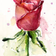 Rose Watercolor Art Print