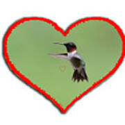 Ruby-throated Hummingbird In Heart Art Print