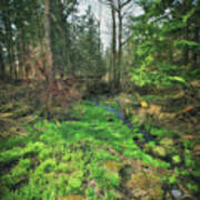 Running Creek In Woods - Spring At Retzer Nature Center Art Print