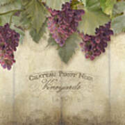 Rustic Vineyard - Pinot Noir Grapes Art Print