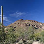 Saguaro Landscape Art Print