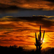 Saguaro Sunset H31 Art Print