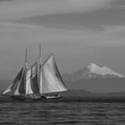 Sailing In Pacific Northwest Art Print