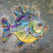 Sally Sunfish Art Print