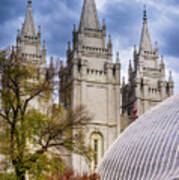 Salt Lake Lds Temple And Tabernacle - Utah Art Print