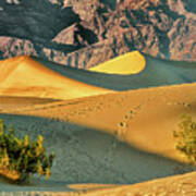 Sand Dunes - Death Valley Art Print