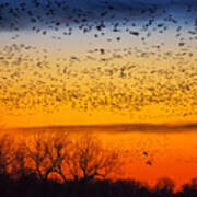 Sandhill Setting Over The Platte Art Print