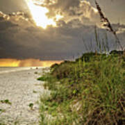 Sanibel Dune At Sunset Art Print