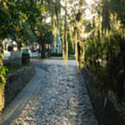 Savannah Walkway Art Print