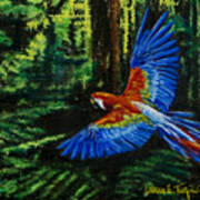 Scarlet Macaw In The Forest Art Print