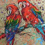 Scarlet Macaws Art Print