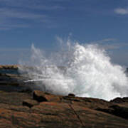 Schoodic Point In Acadia National Park Art Print