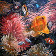 Sea Anemone And Fish Art Print