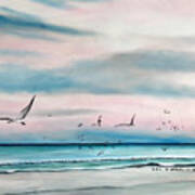 Sea Gulls On The Gulf Art Print