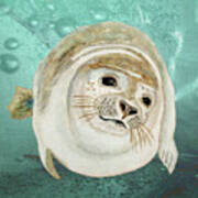 Sea Lion Swimming Art Print