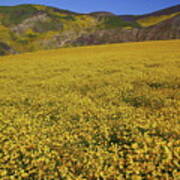 Sea Of Yellow Up In The Temblor Range At Carrizo Plain National Monument Art Print