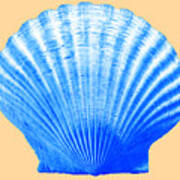 Sea Shell -blue On Sand Art Print