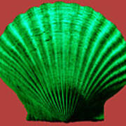 Sea Shell-green-red Art Print
