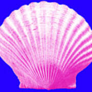 Sea Shell- Pink On Blue Art Print