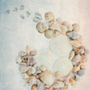 Sea Shells 7 Art Print