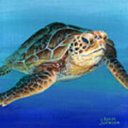 Sea Turtle 1 Of 3 Art Print