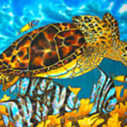 Sea Turtle And Atlantic Spadefish Art Print