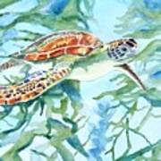 Sea Turtle Series #1 Art Print