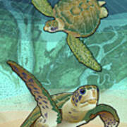 Sea Turtles Near Beaufort, Sc Art Print