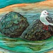 Seagull Sanctuary Art Print