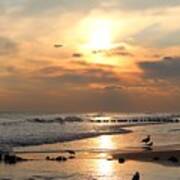 Seagulls On Beach Art Print