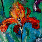Season Of Iris Art Print