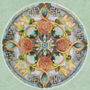 Seasons Mandala Art Print