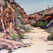 Settler Trail Anza-borrego Desert Art Print