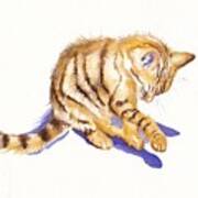 Shadow Boxing - Tabby Kitten Art Print