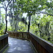 Shady Boardwalk Art Print