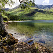 Shady Rest At Buttermere Art Print