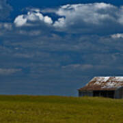 Shed In The Light Art Print