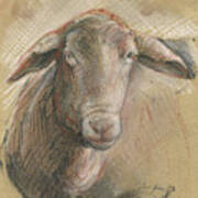 Sheep Head Art Print