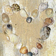 Shells Of The Heart By Kaye Menner Art Print