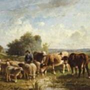 Shepherd With His Sheep Art Print