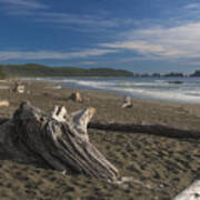 Shi Shi Beach Driftwood Afternoon Art Print