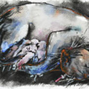 Siamese Cat With Kittens Art Print