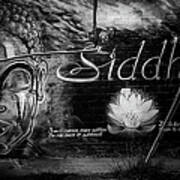 Siddhartha Art Print