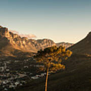 Signal Hill Art Print