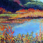 Simpaug Pond In October Art Print