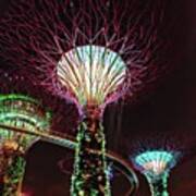 #singapore  #singapur #gardensbythebay Art Print