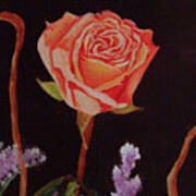 Single Rose Art Print