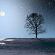Single Tree In Moonlight Art Print