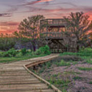 Skidaway Island State Park Overlook Art Print